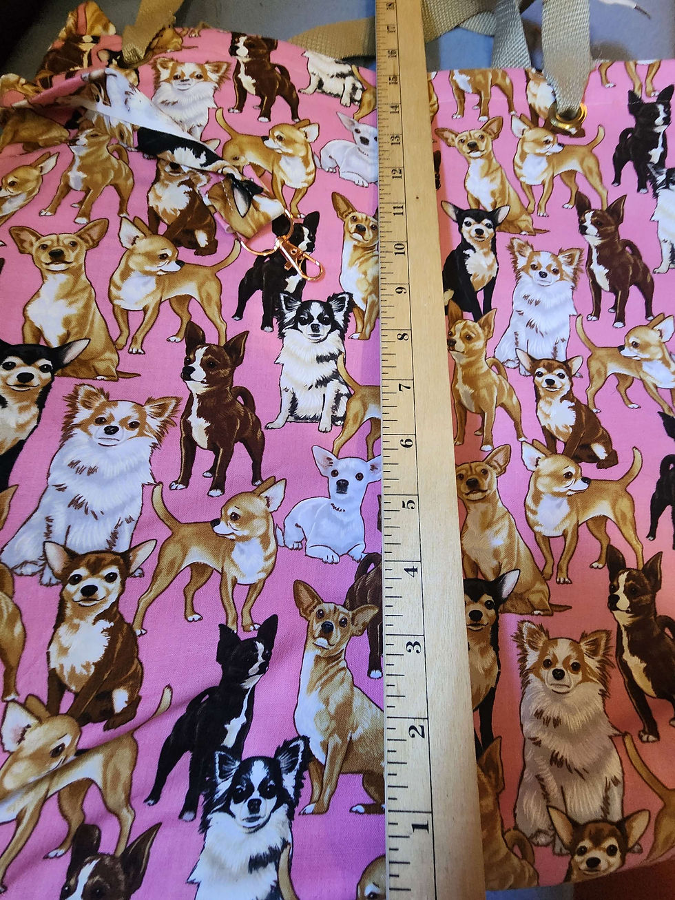 Thumbnail: Medium-sized Chihuahua bag  with a pink background