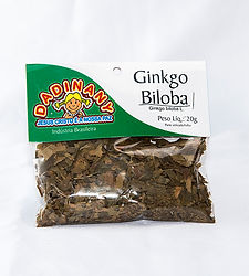 Ginkgo Biloba.jpg