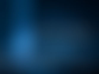 IN REMEMBRANCE OF 9/11