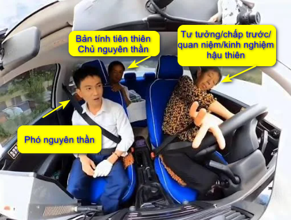 Cơ thể người ví như cái xe, buồng lái chính là đại não, nếu chủ nguyên thần suy yếu và để mặc cho quan niệm/chấp trước/kinh nghiệm sống hình thành hậu thiên chiếm ghế lái, thì lúc đó không phải họ đang sống cho họ, mà là cho những thứ hậu thiên đó.