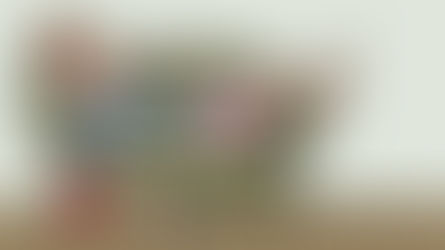 Tu theo Đại Pháp để kết thúc cuộc bức hại hay dựa vào người thường?