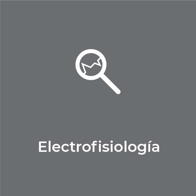 icono-fondo-electrofisiologia