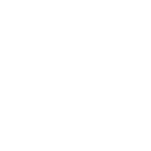 LOGO RC.png