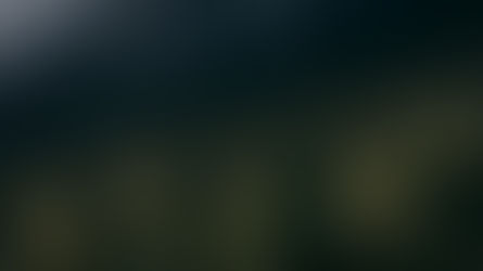 Taipivai : Une Alliance Sauvage entre Nature et Culture