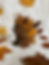 boern-laver-pizza.jpg