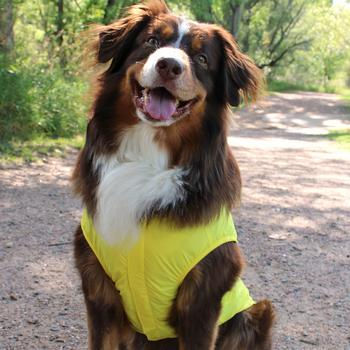 Thumbnail: Doggie Design© Packable Raincoat
