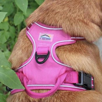 Thumbnail: Doggie Design© Venture Paw Pull Control Dog Harness