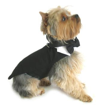 Cute dog wearing a formal tuxedo and bowtie
