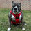 Thumbnail: Doggie Design© Venture Paw Pull Control Dog Harness