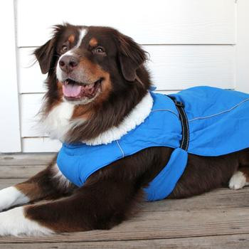 Doggie Design© Alpine Tuf Terrain Dog Coat | PetPals USA