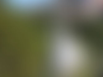 Roteiro de viagem: 3 dias em Barcelona