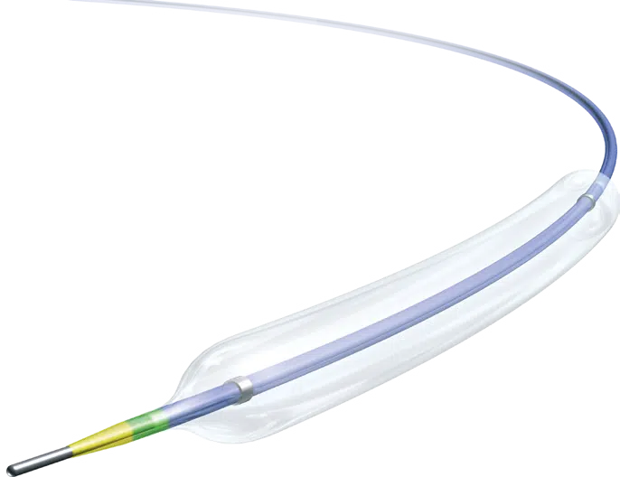 cathe-1-1.webp