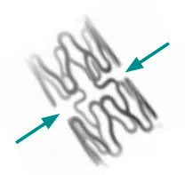 Screenshot-2021-06-14-at-4.23.07-PM-1.webp