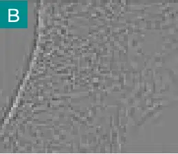 Screenshot-2021-06-14-at-4.09.46-PM.webp