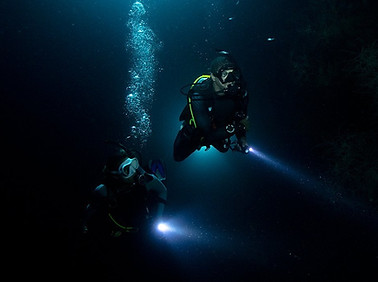Night Diver