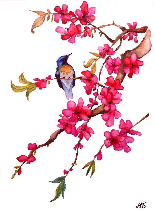 Beautiful Bird.gif