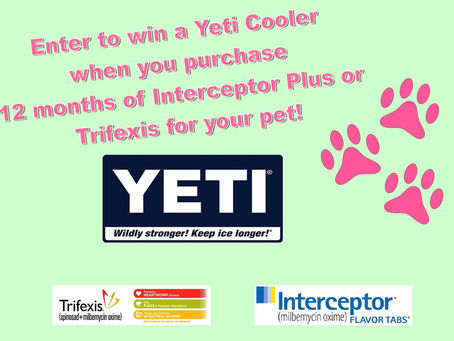 Enter to win a Yeti cooler