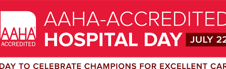 AAHA- Accredited Hospital Day