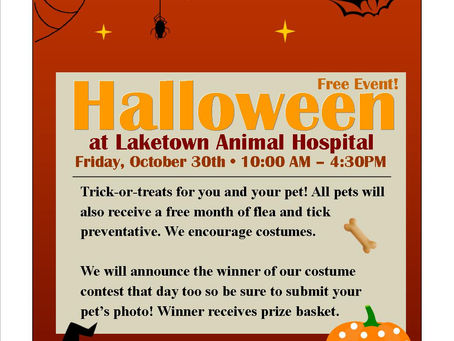 Trick-or-Treat with Laketown Animal Hospital