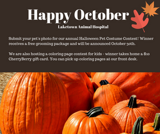 October is here, join us for Halloween fun!