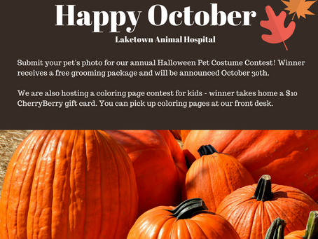October is here, join us for Halloween fun!