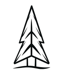 Minimalist line art icon of a pine tree.