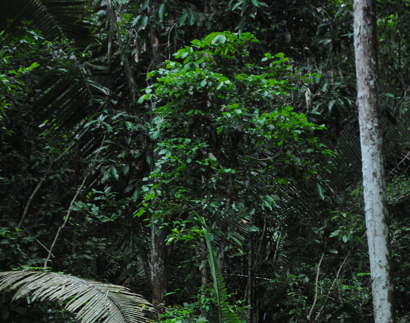 NIKON D3000(568)_edited.jpg