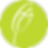 treehouse-dot-noborder-noshadow.png