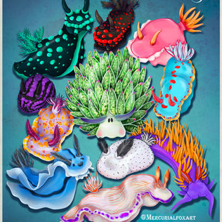 Digital painting of Nudibranch or sea slugs for charity posters and prints. With text saying Ocean Life belongs in the Ocean.