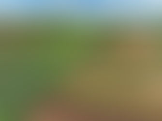 Agropecuária Sustentável: Caminhos para Produzir com Responsabilidade Ambiental e Econômica