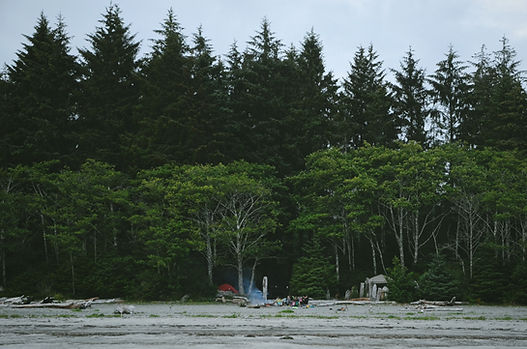 Forest Campsite Scene