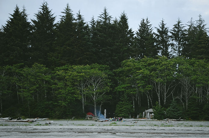 Campers in the Woods