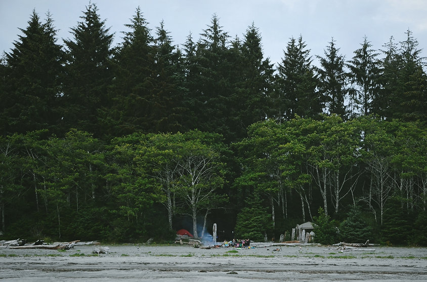Campers in the Woods