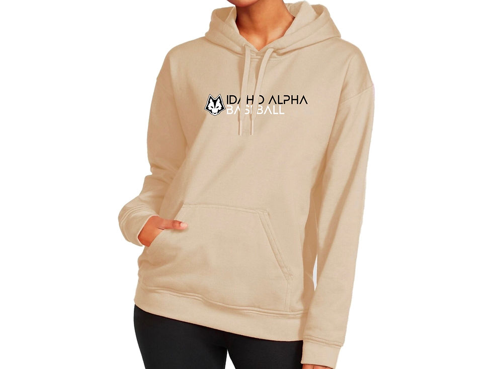 Thumbnail: Idaho Alpha Baseball Hoodie