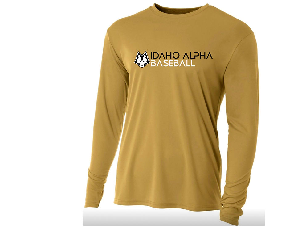 Thumbnail: Idaho Alpha Baseball Drifit Long Sleeve Tee