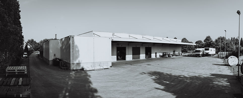 vl_bw_12.jpg