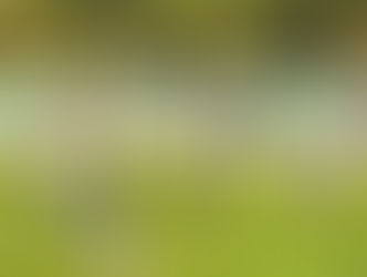 San Martín y San Lorenzo avanzan a cuartos en la Copa de Campeones