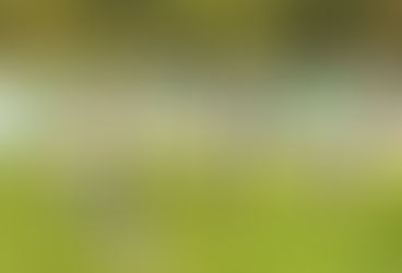 San Martín y San Lorenzo avanzan a cuartos en la Copa de Campeones