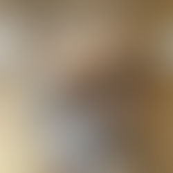 Una joven iglesiana encontró un puma cachorro en la finca de sus suegros en Albardon