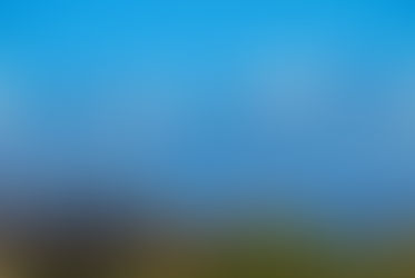 Iglesia debate su futuro con una gran oportunidad de salir adelante según lo establecen las leyes