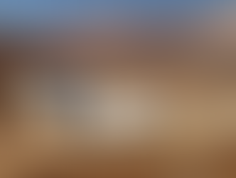 JSC se adjudicó el servicio de catering en Veladero tras 18 años de Aramark