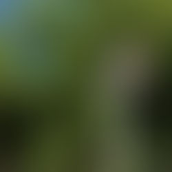 Preocupación por la plazoleta del Barrio América de Rodeo, "se robaron hasta los focos"