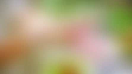 Gran convocatoria para el Curso de Manipulación de Alimentos en Rodeo que realizará ARAMARK