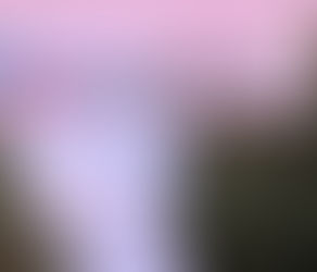 El peronismo sanjuanino y su vieja costumbre de disfrazar reclamos