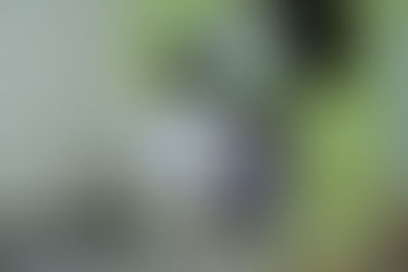 Taller navideño en Villa Iglesia reunió a vecinos en una jornada culinaria impulsada por Cookins