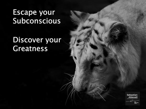 Escape your preprogramming