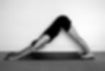 Pat - Adho Mukha Svanasana