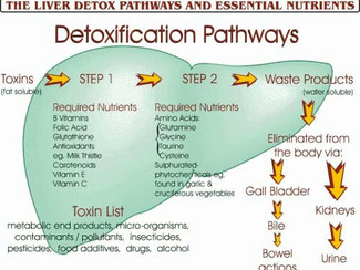 DETOXIFICATION - A NATUROPATHIC PERSPECTIVE