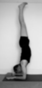 Patrick Pinchamayurasana