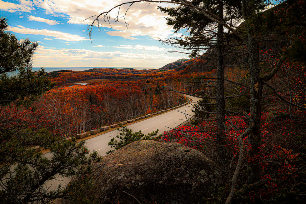 Acadia Late Fall Loop Road